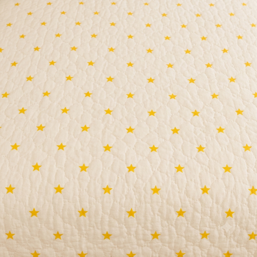 Blue Air Balloon Hand Block  & Quilt/ Razai